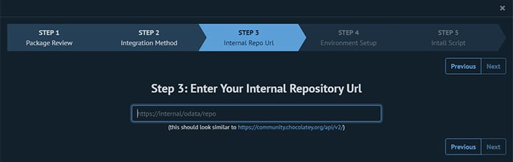 Internal Repository Url